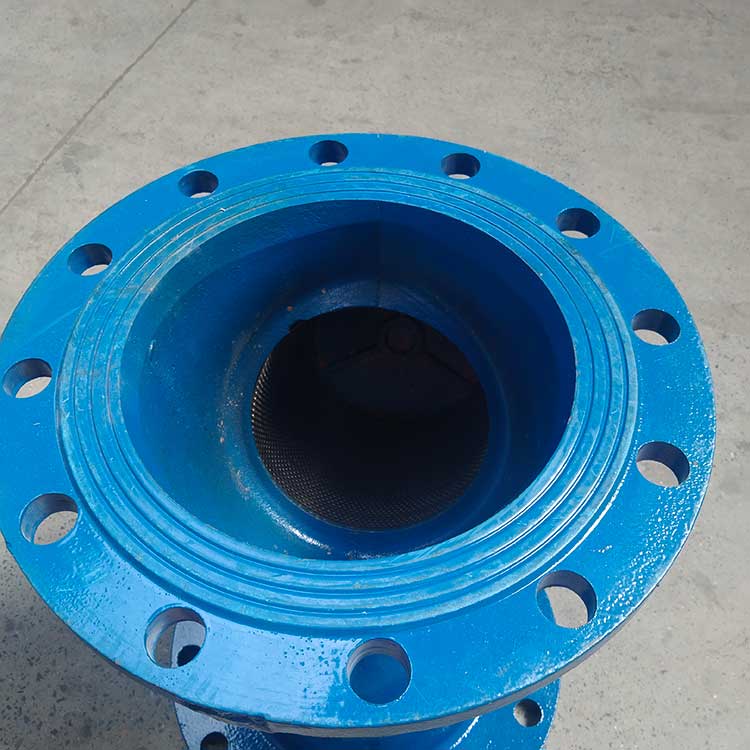 GL41H-16C-DN250-Y型過(guò)濾器-(6)