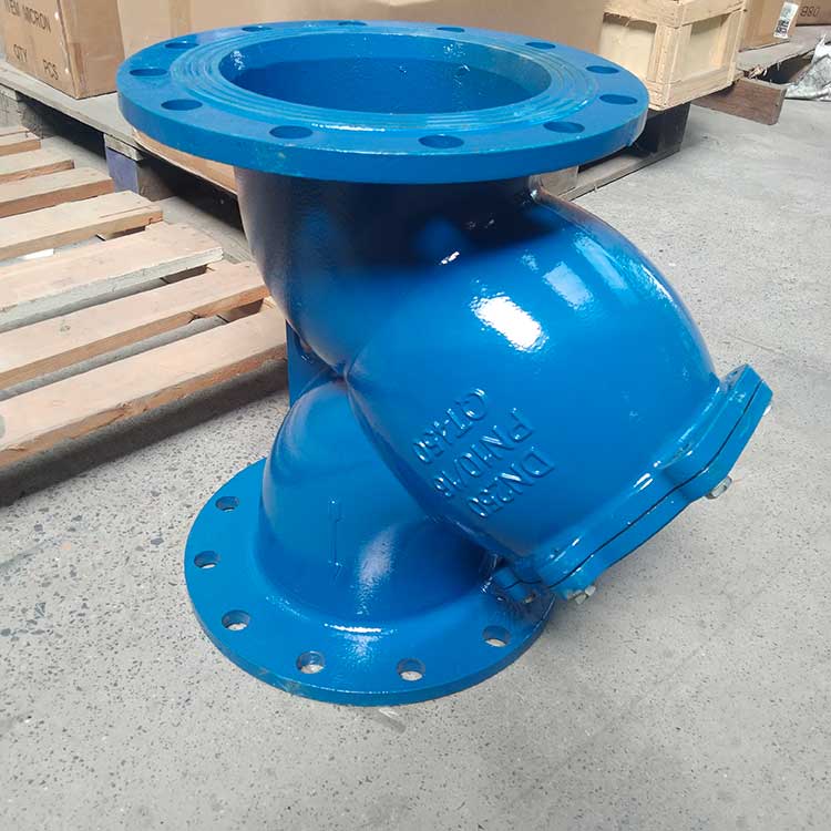 GL41H-16C-DN250-Y型過(guò)濾器-(1)