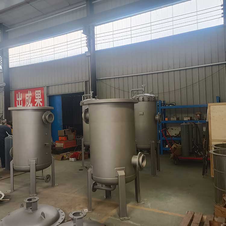 保安過濾器-(31)